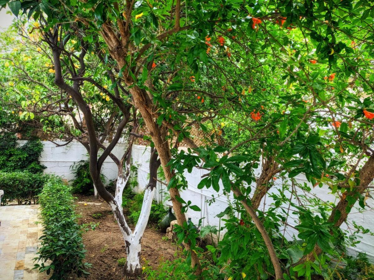House With Garden In City Of Rhodes Rhodes City ภายนอก รูปภาพ